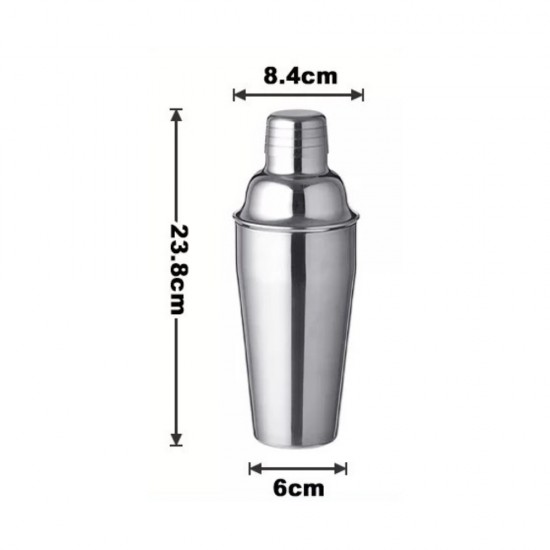 Medium Stainless Steel Shaker